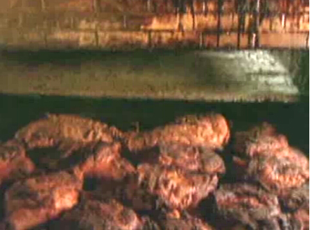 What Makes A Good Barbecue? Video